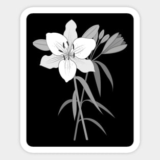 Day Lilies Illustration Monochrome Sticker